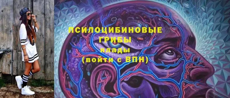 блэк спрут как зайти  Югорск  Псилоцибиновые грибы ЛСД  продажа наркотиков 